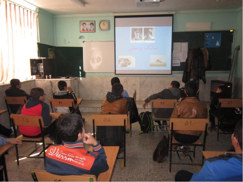 آموزش خانواده ( سالک و تربیت جنسی )